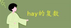 hay的復(fù)數(shù)