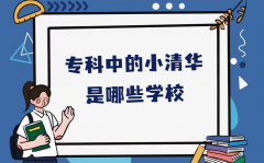 專科中的小清華是哪些學(xué)校？被評為小清華的專科學(xué)校